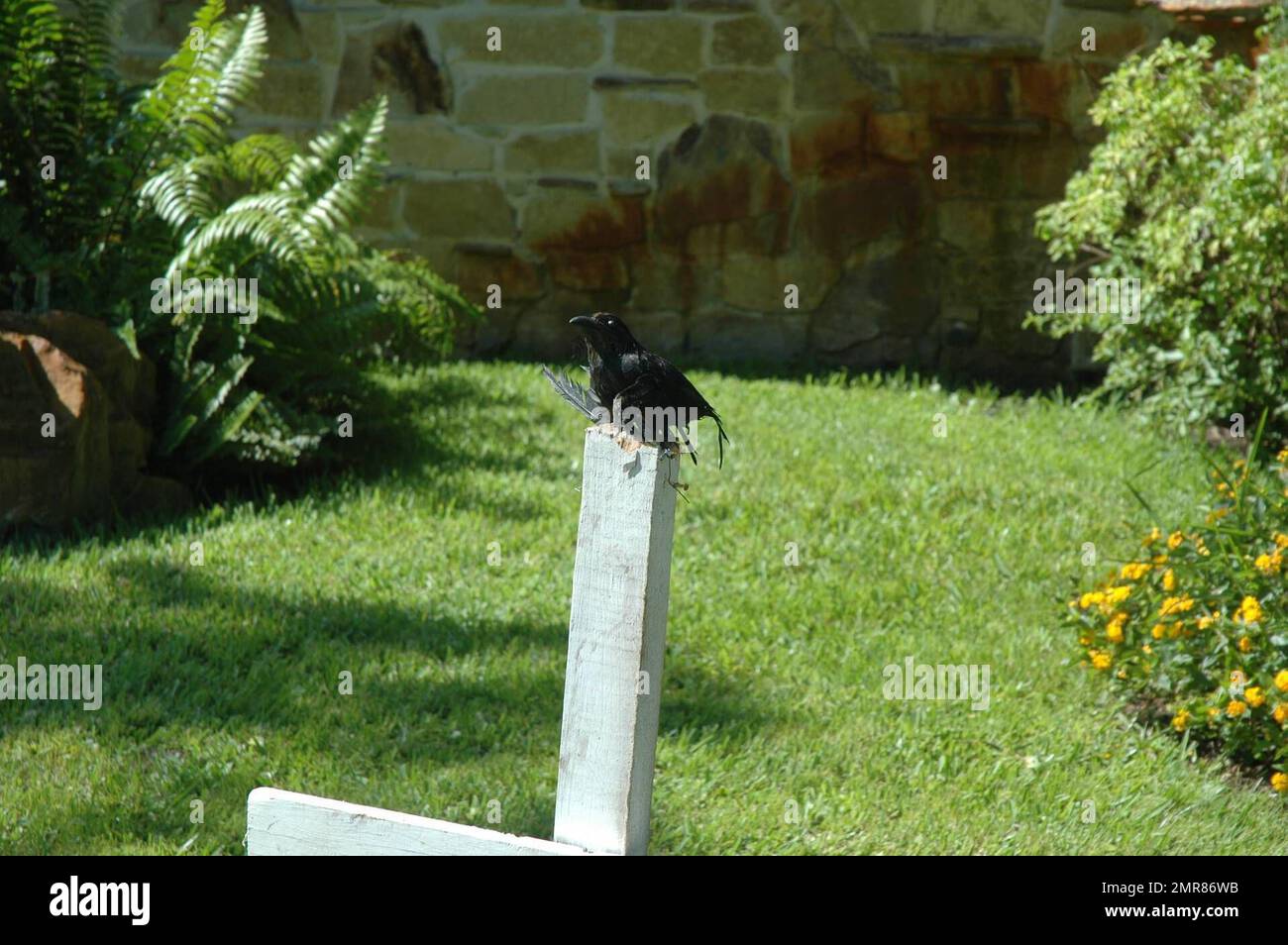 Exclusive!! Linda Hogan has decorated the Hogan Residence in Clearwater