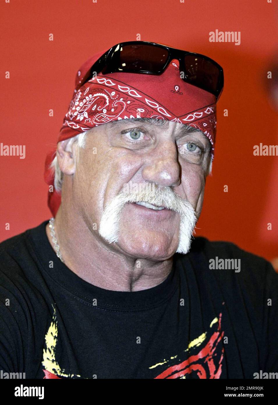 Hulk Hogan signs copies of his new book "Hulk Hogan: My Life Outside the  Ring" at Chapters in Toronto, ON. 12/9/09 Stock Photo - Alamy
