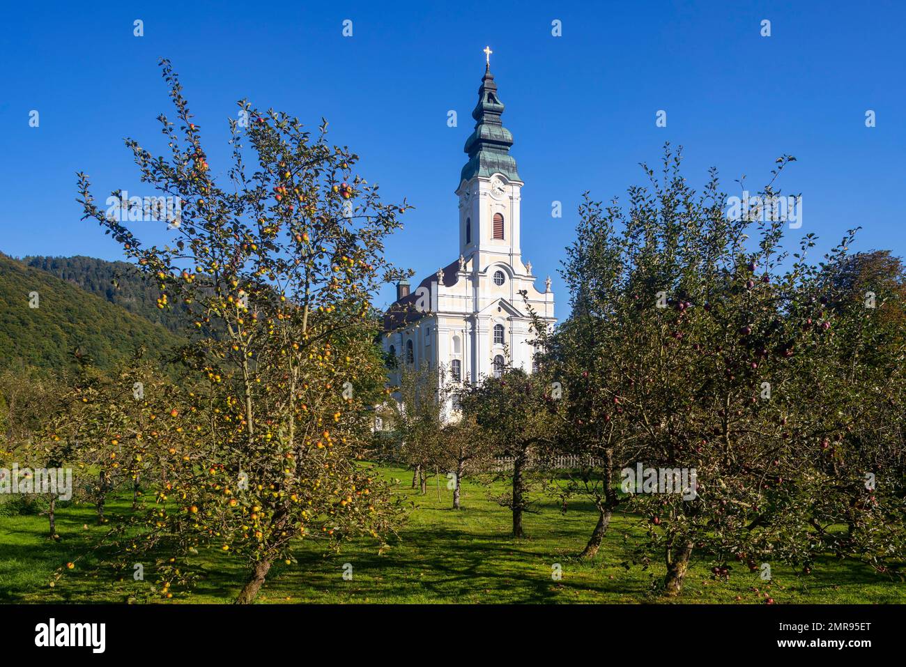 Engelszell Abbey, Trappist Monastery, Engelhartszell, Innviertel, Upper Austria, Austria, Europe Stock Photo