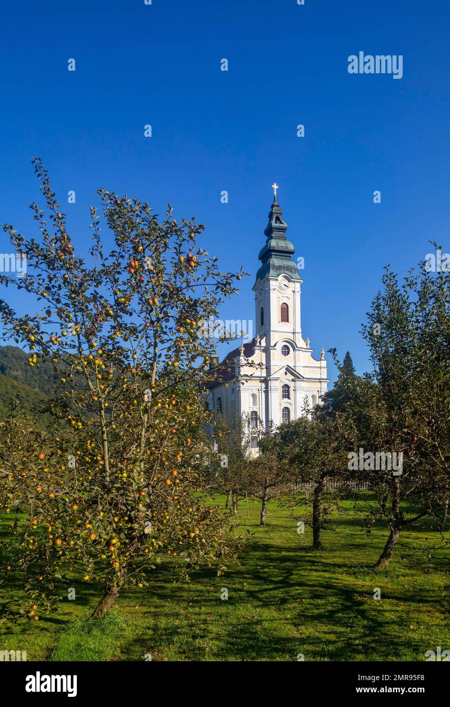Engelszell Abbey, Trappist Monastery, Engelhartszell, Innviertel, Upper Austria, Austria, Europe Stock Photo