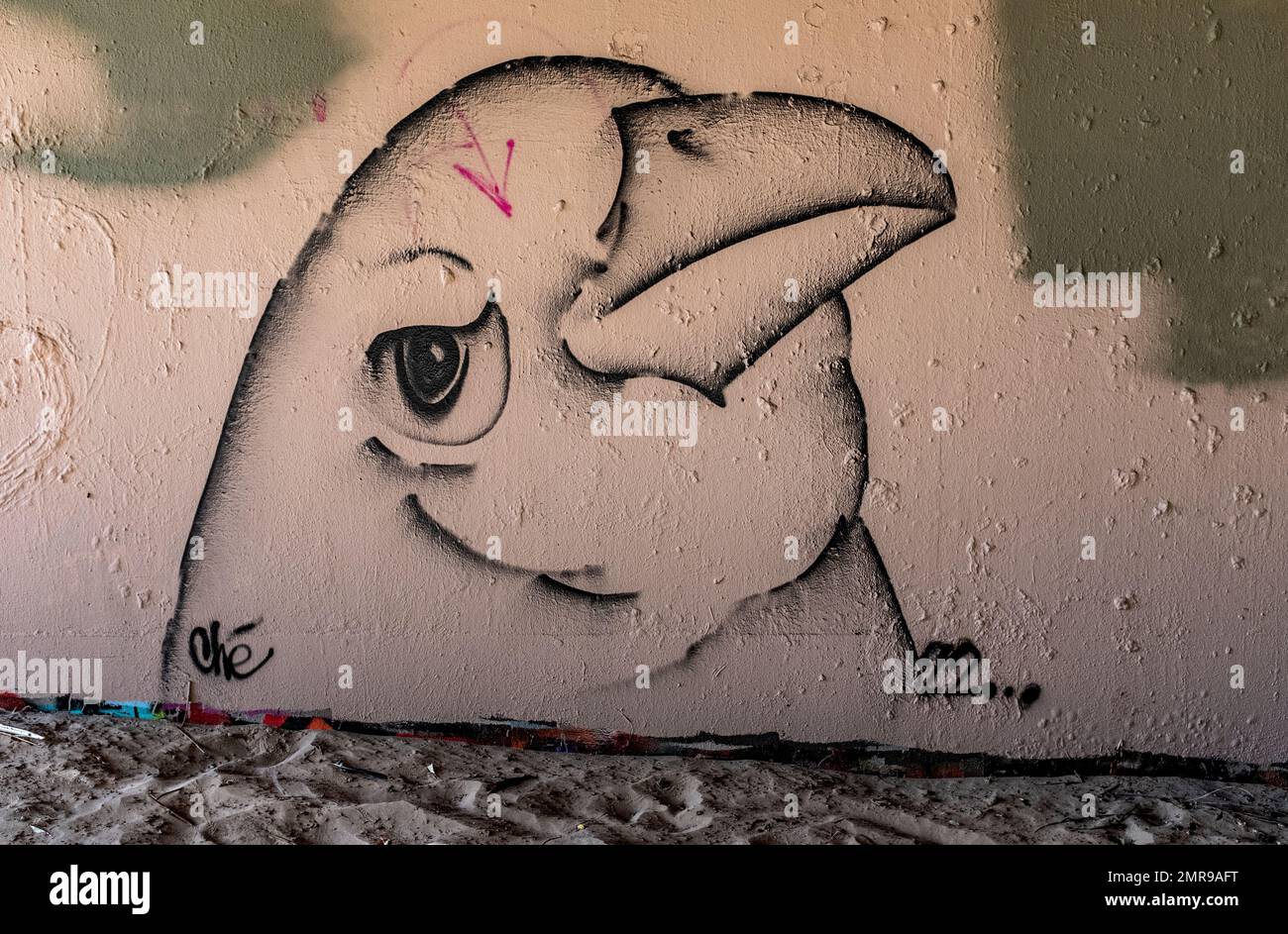 Albuquerque, New Mexico street art Stock Photo - Alamy