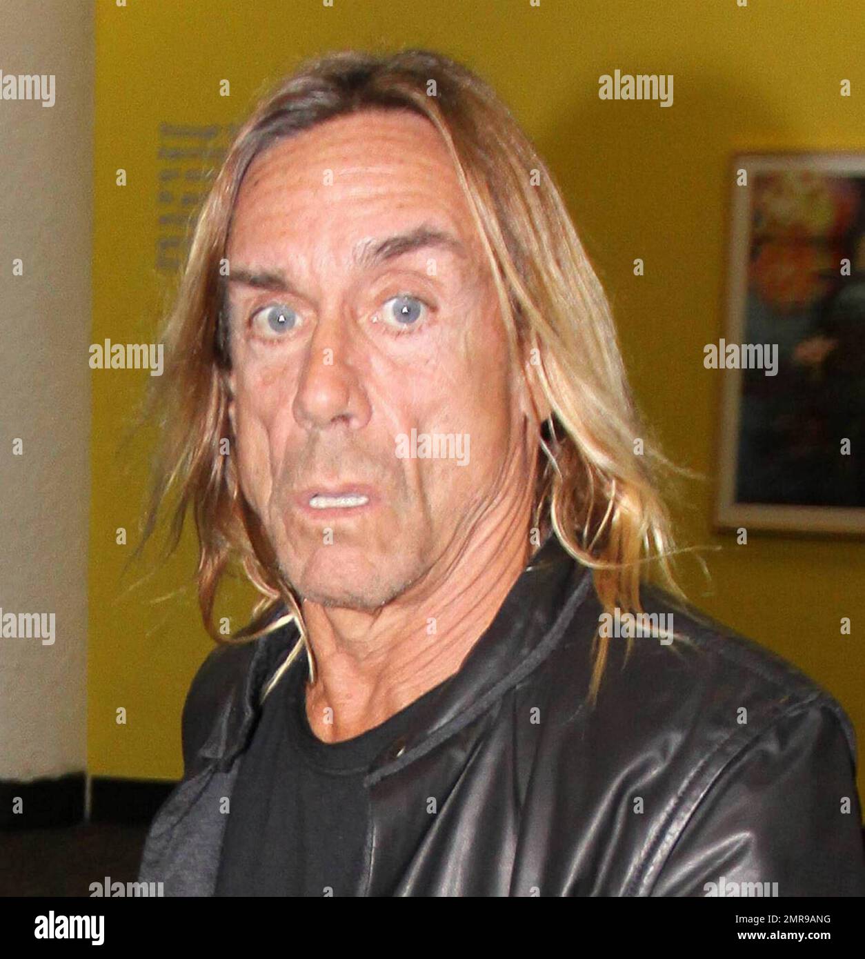 Exclusive!! Aging rock-star Iggy Pop arrives at Miami airport with his  girlfriend Nina Alu. Pop seemed to have trouble walking as he had a severe  limp. Miami, Fl. 4/2/09 Stock Photo -