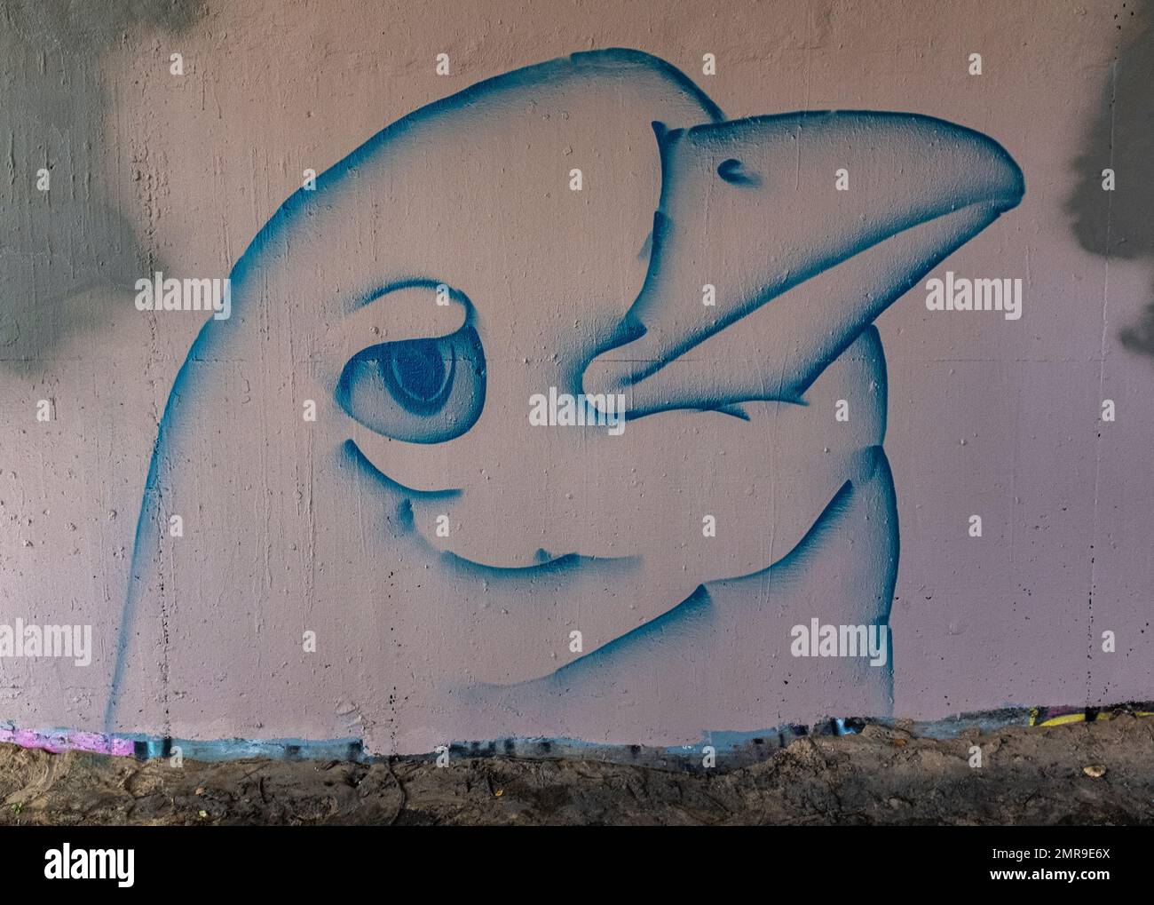 Albuquerque, New Mexico street art Stock Photo - Alamy