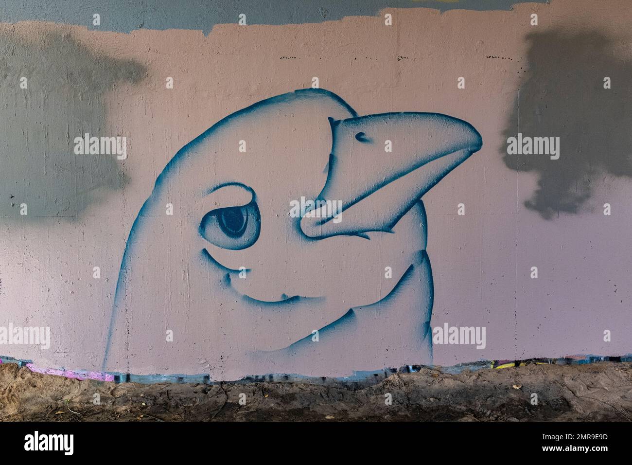 Albuquerque, New Mexico street art Stock Photo - Alamy
