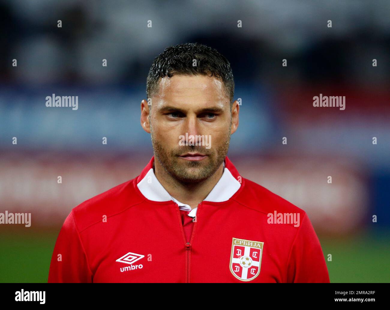 Serbia's national soccer team player Dusko Tosic prior to playing their World Cup Group D qualifying soccer match between Serbia and Georgia at the Rajko Mitic stadium in Belgrade, Serbia, Monday, Oct. 9, 2017. (AP Photo/Darko Vojinovic) Stock Photo