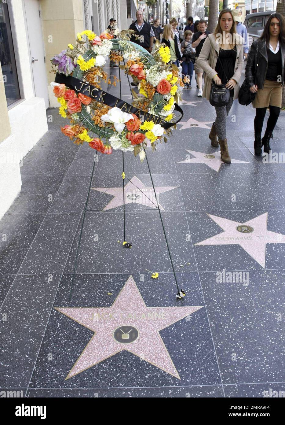 A wreath of flowers sits atop Jack Lalanne's star on the Hollywood Walk ...