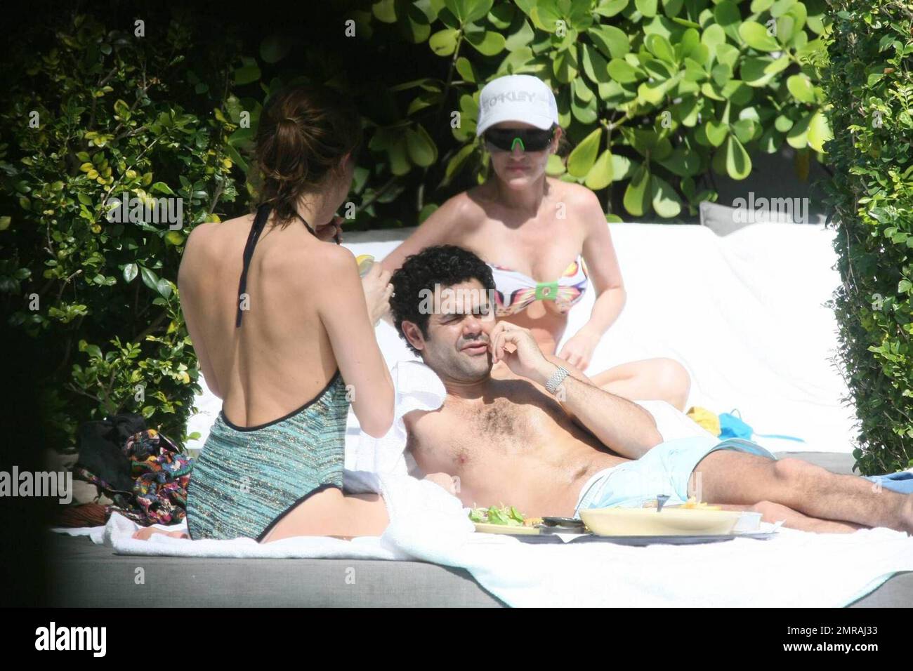 Eng katta mushuk uchun onlayn tanlov