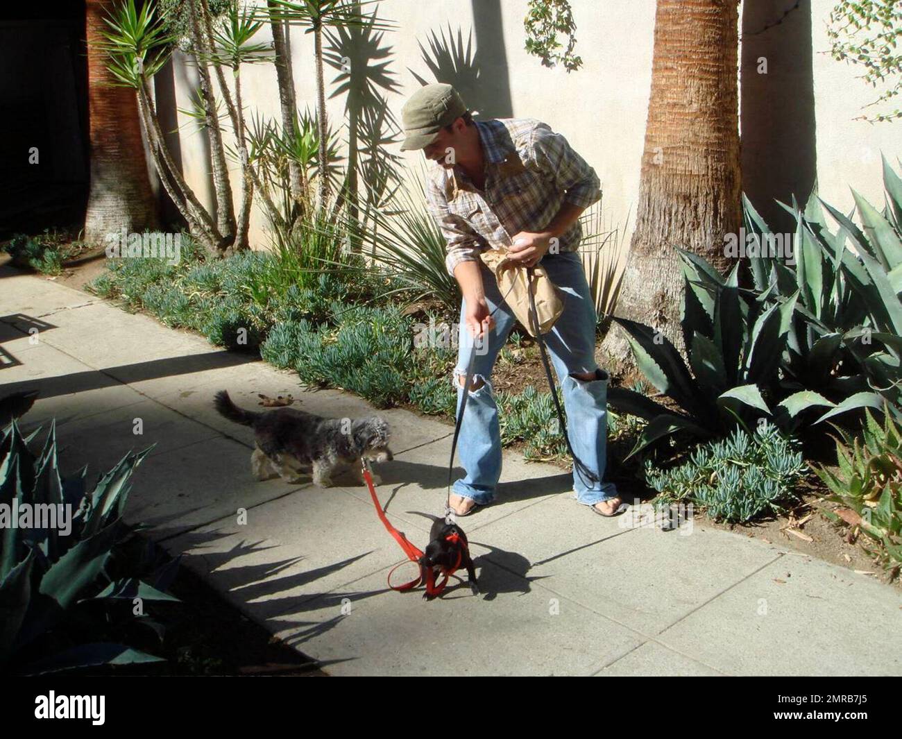 Exclusive!! Actor and star of the new LOGO series 'Sordid Lives' Jason Dottley teaches his pup, Ty Guapo, to walk on a leash at the Laurel Canyon Country Store near his Hollywood Hills home. Los Angeles, Calif. 10/18/07. Stock Photo