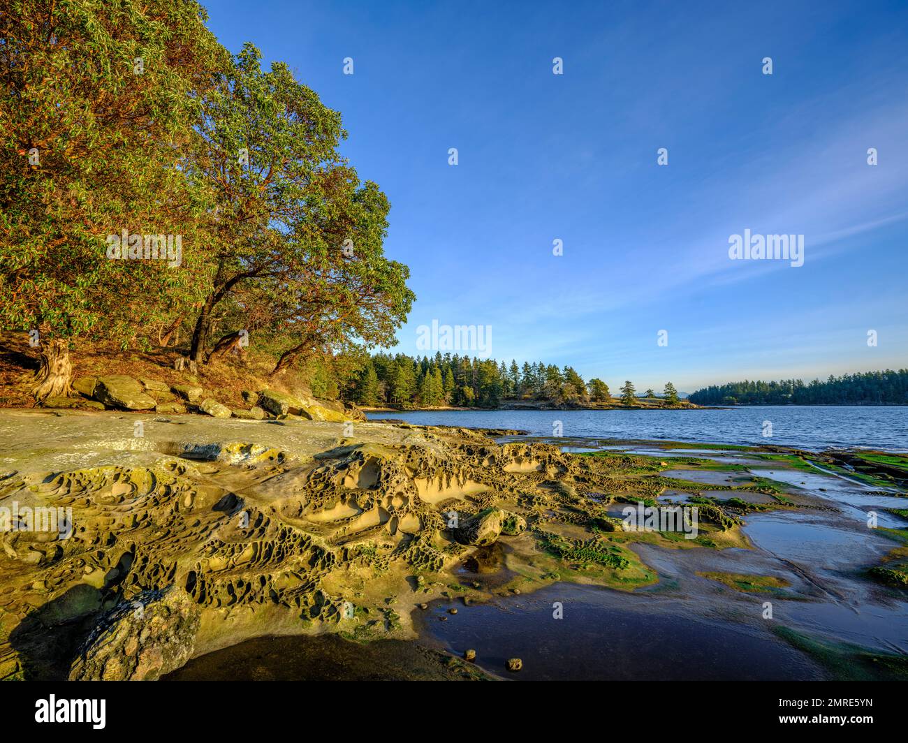 The rugged and scenic shoreline of Gabriola Island, in Drumbeg