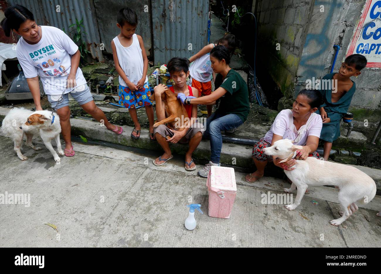 a-veterinarian-from-the-humane-society-international-hsi-conducts