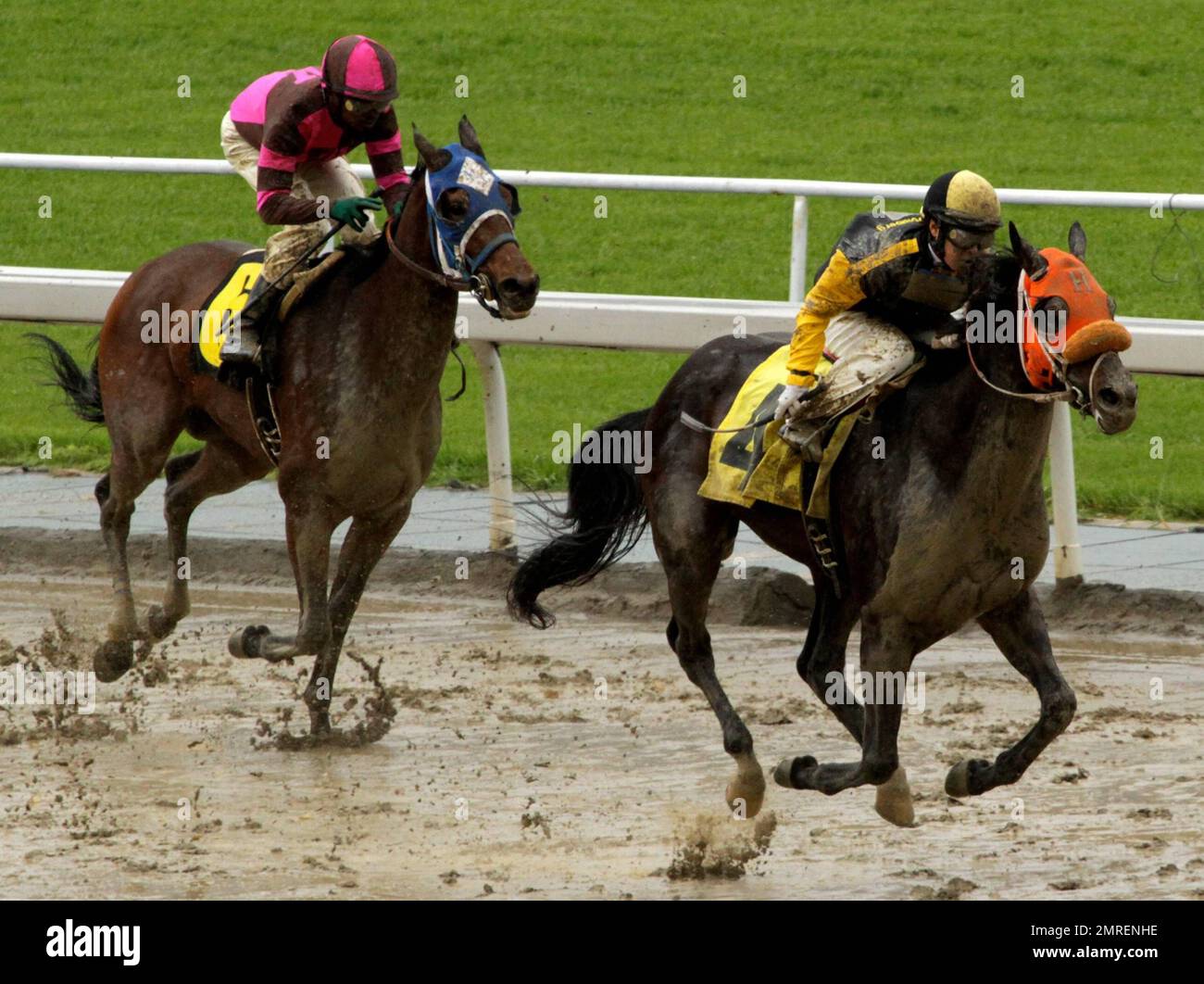 EXCLUSIVE!! Horse, "Salt of the Earth" ridden by jockey Kayle Stra and