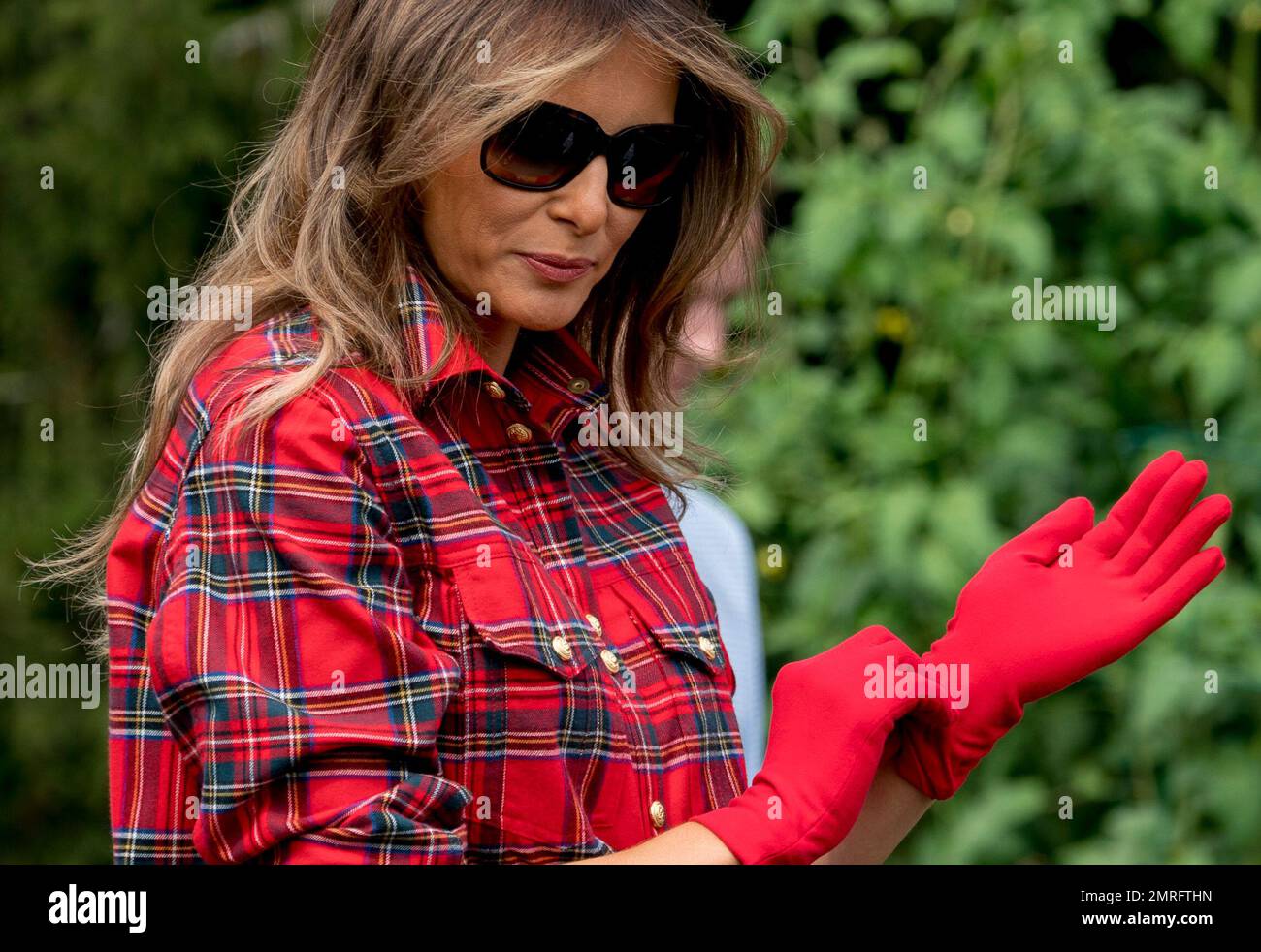 First lady Melania Trump puts on gloves as she participates in an  harvesting and planting event with the Boys and Girls Club of Washington in  the White House Kitchen Garden on the