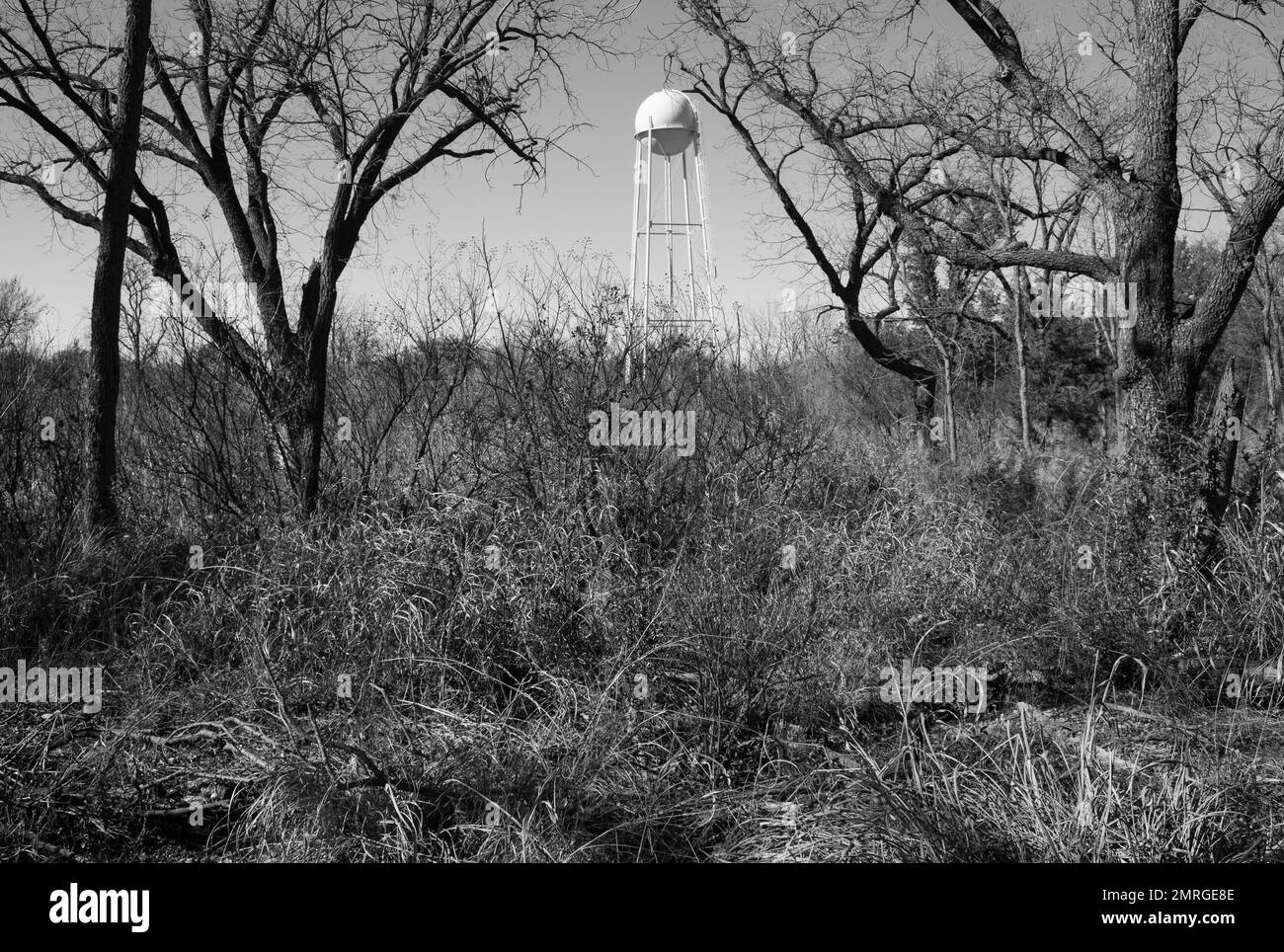 Black and white photo of a water storage tower in a dry drought stricken field of trees.  Abilene State Park, Texas Stock Photo