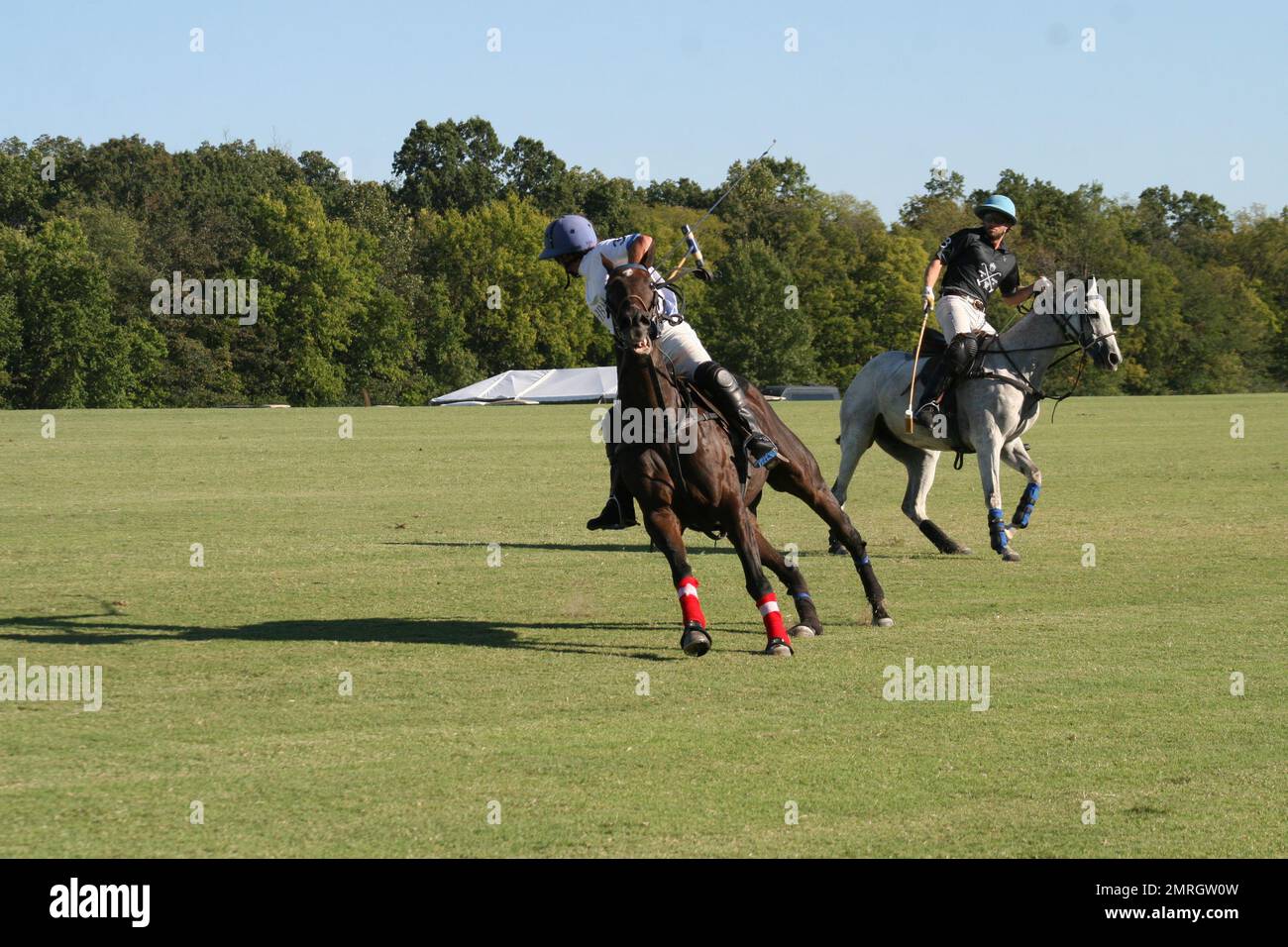 Glennon hi-res stock photography and images - Page 2 - Alamy