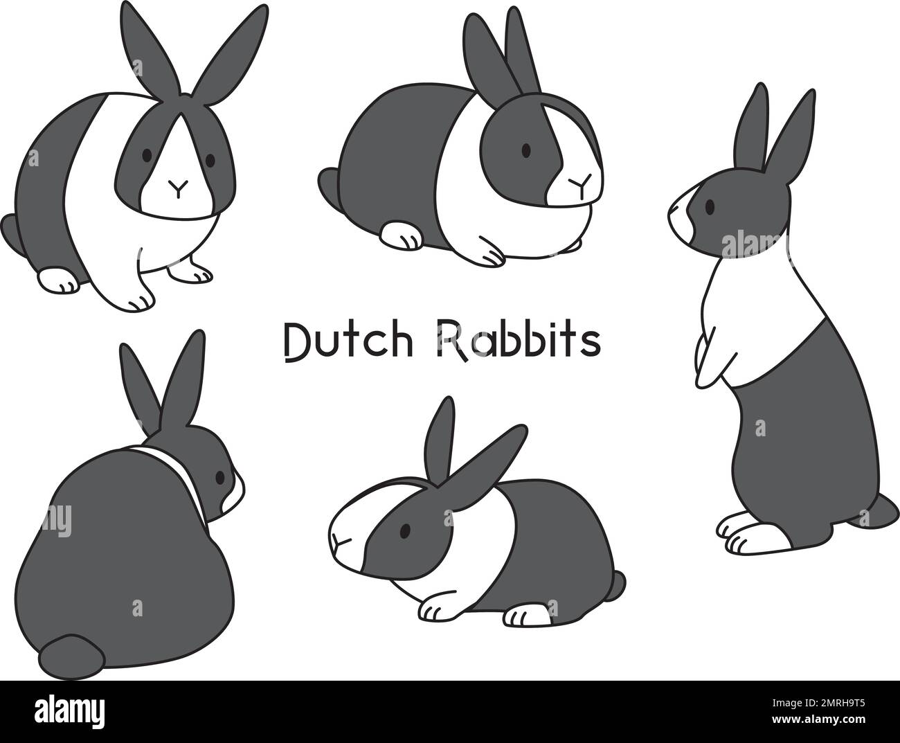 Dutch rabbit has 5 different poses. New Year's card material for the ...