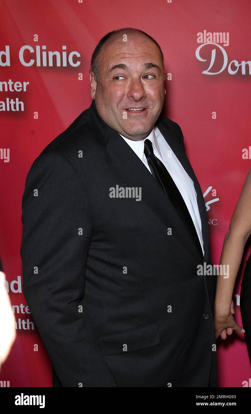 James Gandolfini at the Keep Memory Alive's 16th Annual "Power Of Love