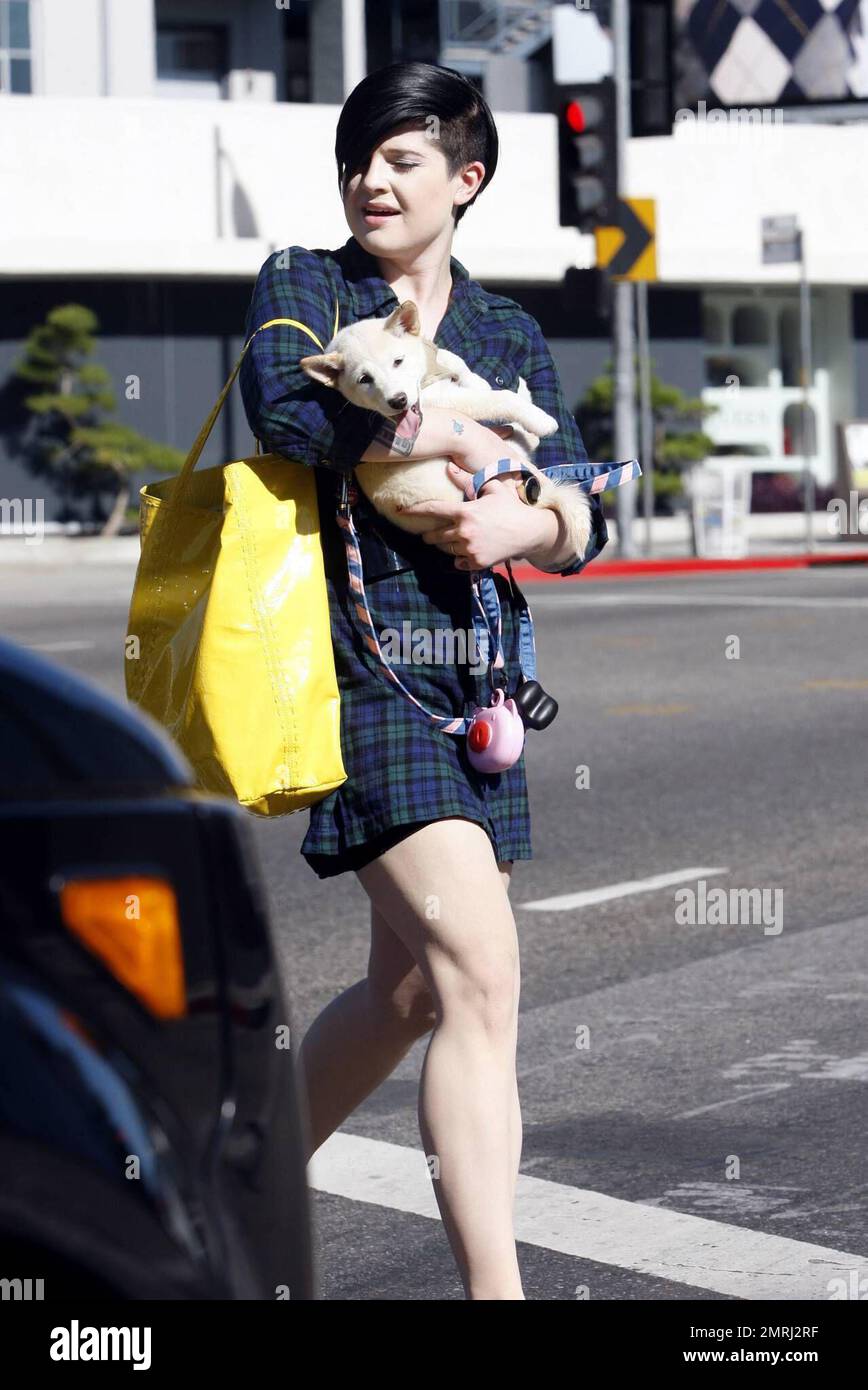 Kelly Osbourne carries along her adorable puppy as she gets in a bit if shopping at Marc Jacobs with a friend. She wore a plaid dress and carried a yellow handbag during