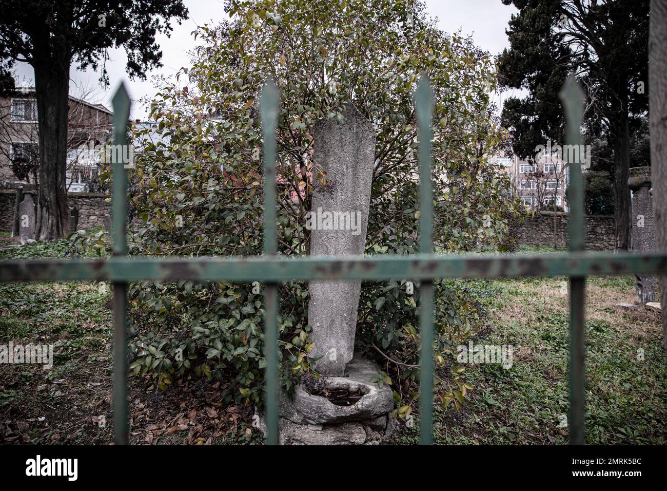 A small tree seen growing near a grave. It is seen that the 400-year-old historical cemetery in Kadikoy is neglected. The Ayrilik Cesme Cemetery, which is the last part of the Karacaahmet Cemetery in Istanbul Uskudar and contains the graves of the names who served in the Ottoman Palace, has turned into ruins. It is known that the burial process in the cemetery, where the first burials were made 400 years ago, continued until the beginning of the 20th century. The cemetery, where most of the tombstones were destroyed, some of the heads fell off, and in some places the stones were planted collec Stock Photo