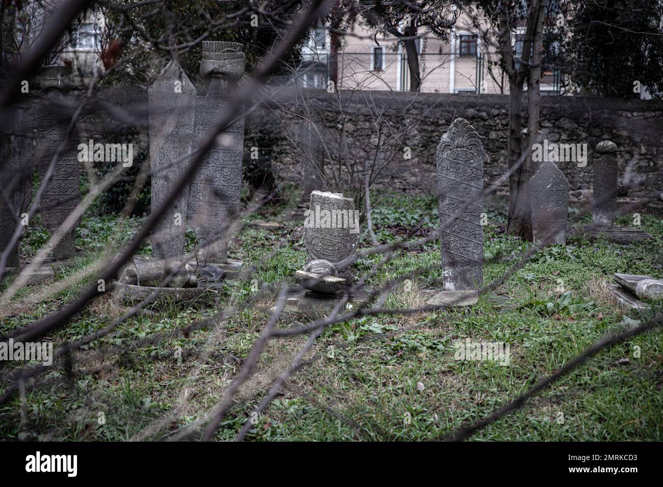 Graves seen through the tree branches. It is seen that the 400-year-old historical cemetery in Kadikoy is neglected. The Ayrilik Cesme Cemetery, which is the last part of the Karacaahmet Cemetery in Istanbul Uskudar and contains the graves of the names who served in the Ottoman Palace, has turned into ruins. It is known that the burial process in the cemetery, where the first burials were made 400 years ago, continued until the beginning of the 20th century. The cemetery, where most of the tombstones were destroyed, some of the heads fell off, and in some places the stones were planted collect Stock Photo