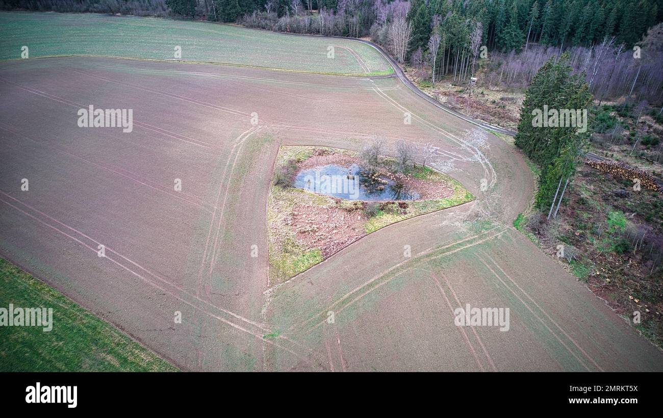 Small pond in middle forest hi-res stock photography and images - Alamy