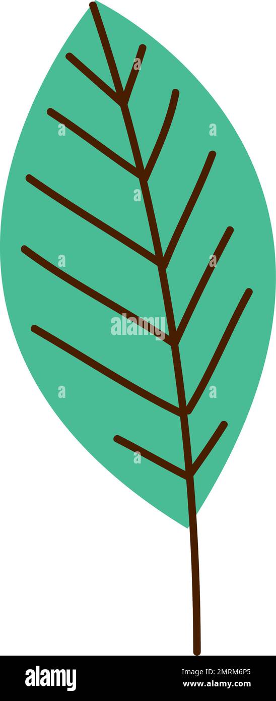leaf plant foliage Stock Vector Image & Art - Alamy