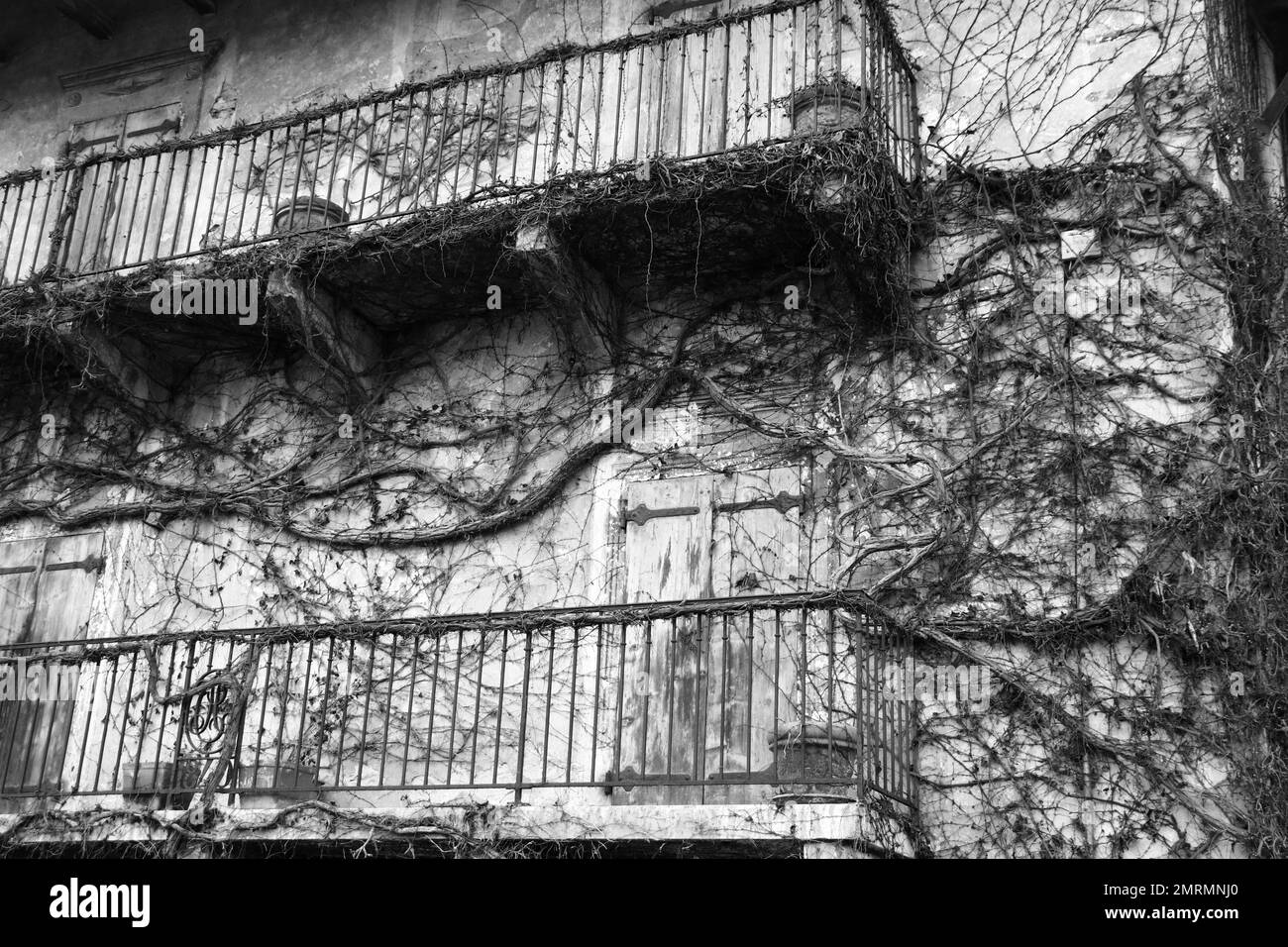 A monochrome shot of a building overgrown with plants Stock Photo