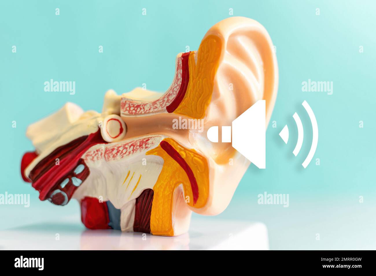 An illustration of an anatomical model of the human ear with luminous