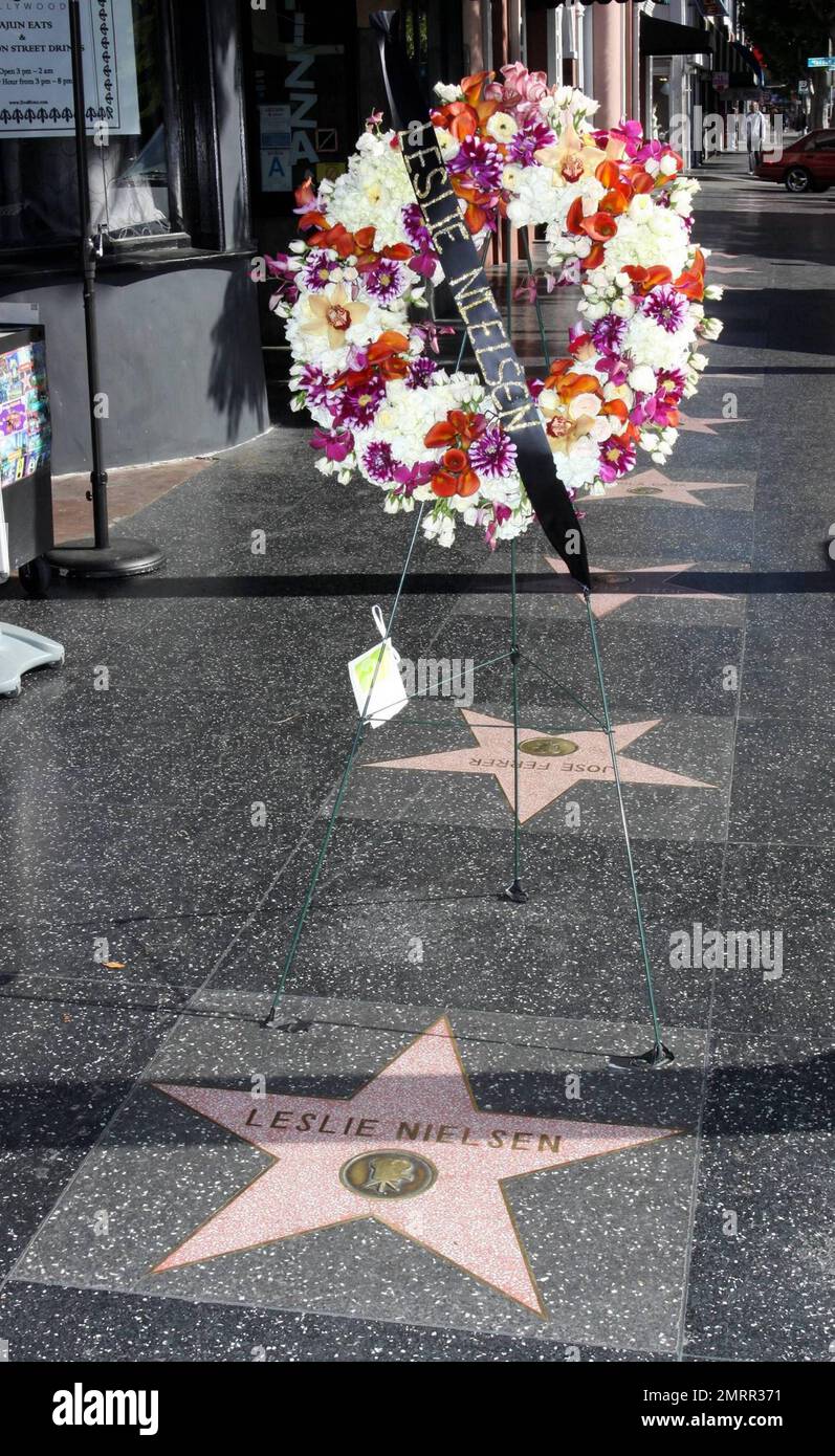 A wreath of flowers are placed over late actor Leslie Nielsen's star on the Hollywood Walk of Fame.  The Canadian actor passed away at the age of 84 at hospital near his home in Fort Lauderdale where he was being treated for nearly two weeks after suffering from pneumonia. Los Angeles, CA. 11/29/10. Stock Photo