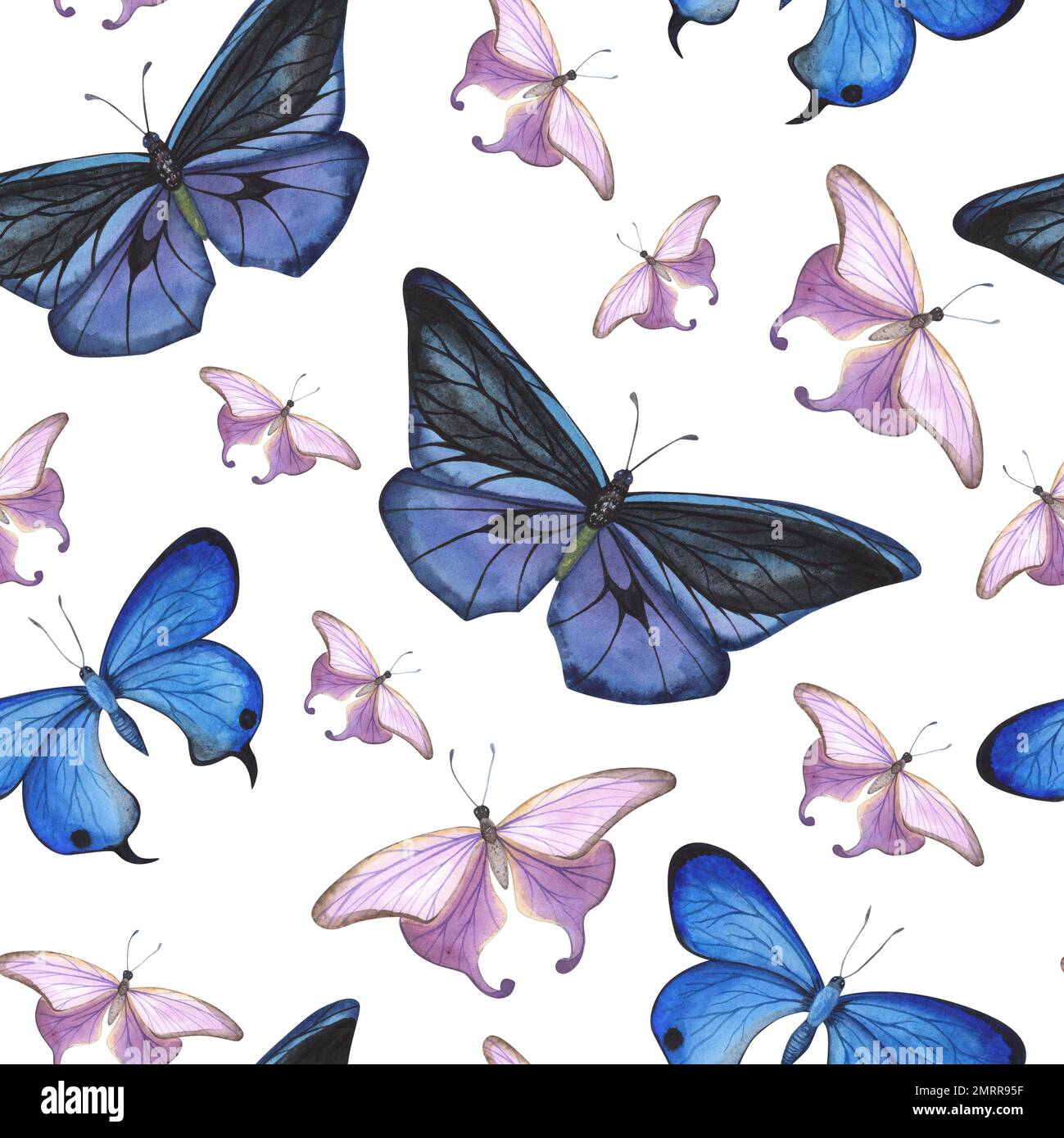 seamless pattern Blue and violet butterfly with detailed wings isolated ...