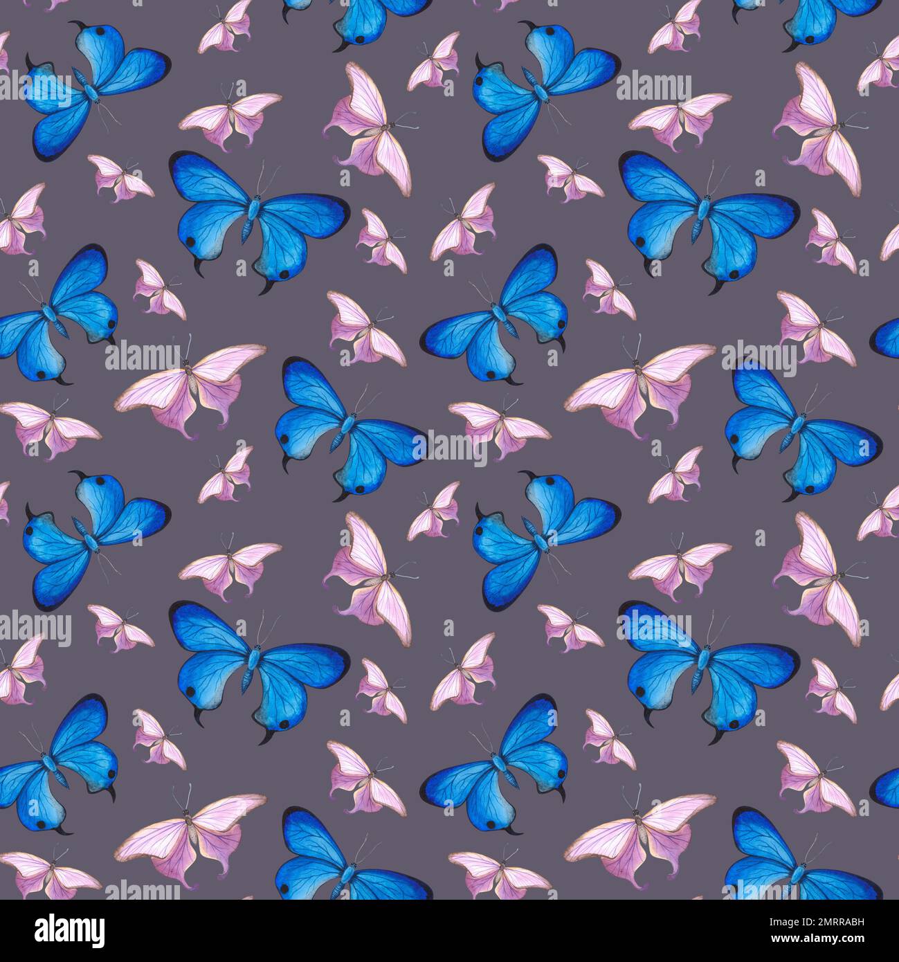 seamless pattern Blue and purple butterfly with detailed wings isolated ...