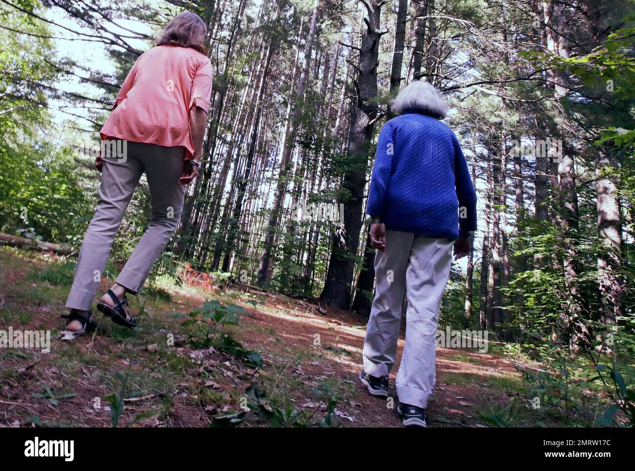 In this Thursday Aug. 24, 2017 photograph, N.H. Rep. Karen Ebel, DNew