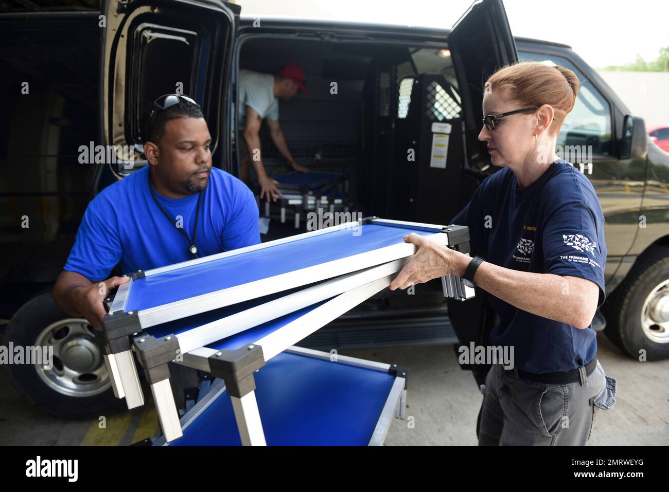 IMAGE DISTRIBUTED FOR THE HSUS This week under the Humane Puerto Rico