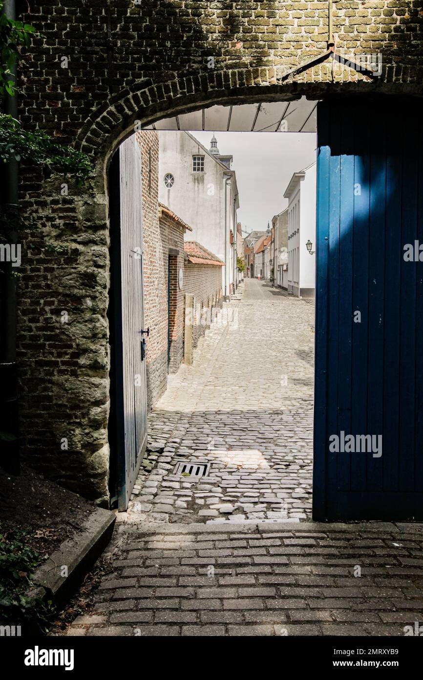 A vertical shot of a narrow alley alongside the small buildings behind ...