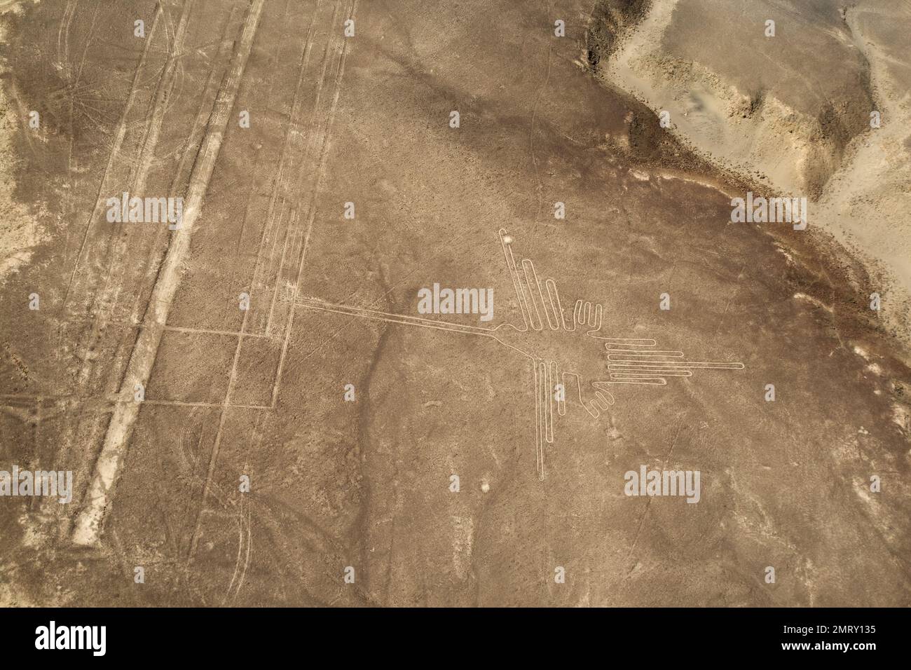 Unesco Heritage: Lines and Geoglyphs of Nazca, Peru Stock Photo