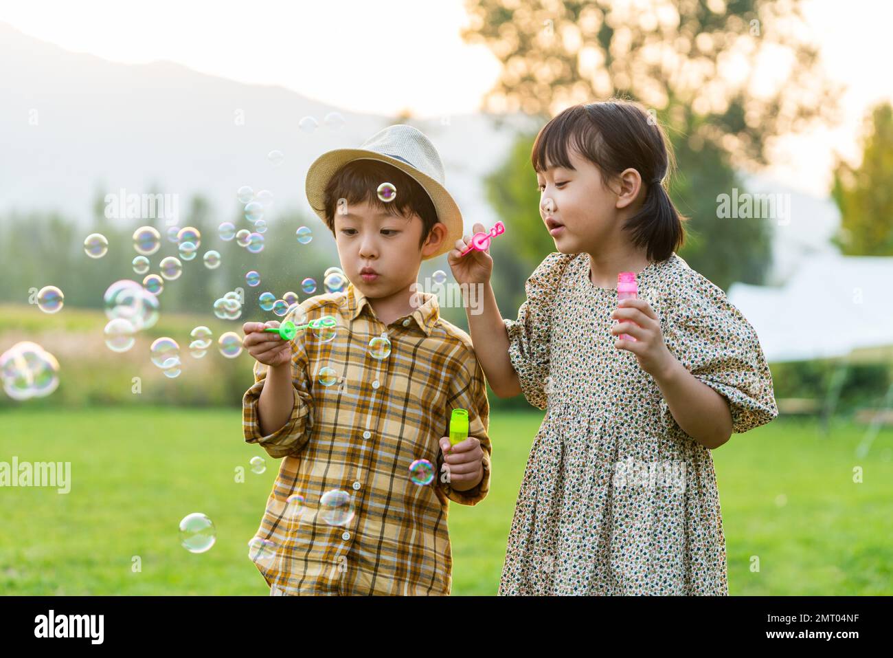 The two children on the grass blowing bubbles Stock Photo - Alamy