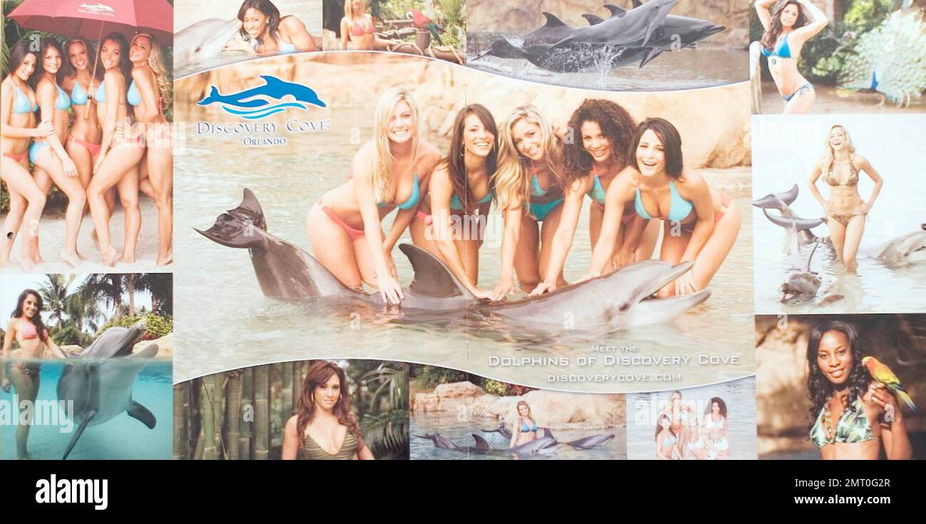 The Miami Dolphin cheerleaders have launched their latest swimsuit calendar. The 2009 calendar  includes 16 months from September, 2008 to December 2009 and features a beauty in each month along with a large centerfold featuring group shots of the girls. The backdrop for this year's calendar was Discovery Cove in Orlando, FL where the cheerleaders met and posed with the dolphins and exotic birds in tropical settings. Miami, FL. 8/14/08.   /MIAMIDOLPHINS Stock Photo