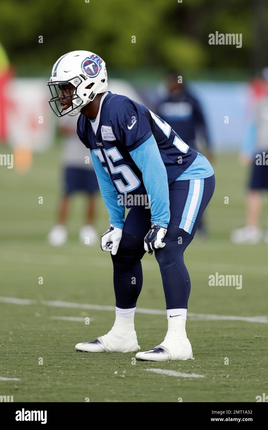 Jayon Brown: Tennessee Titans linebacker through the years