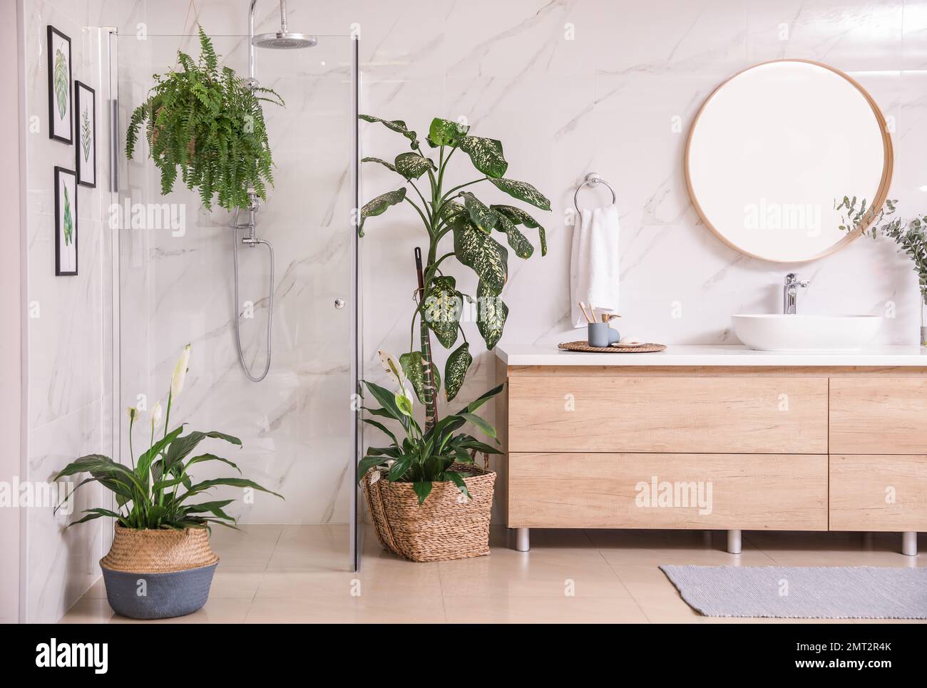 Green plants in elegant modern bathroom. Interior design Stock Photo ...