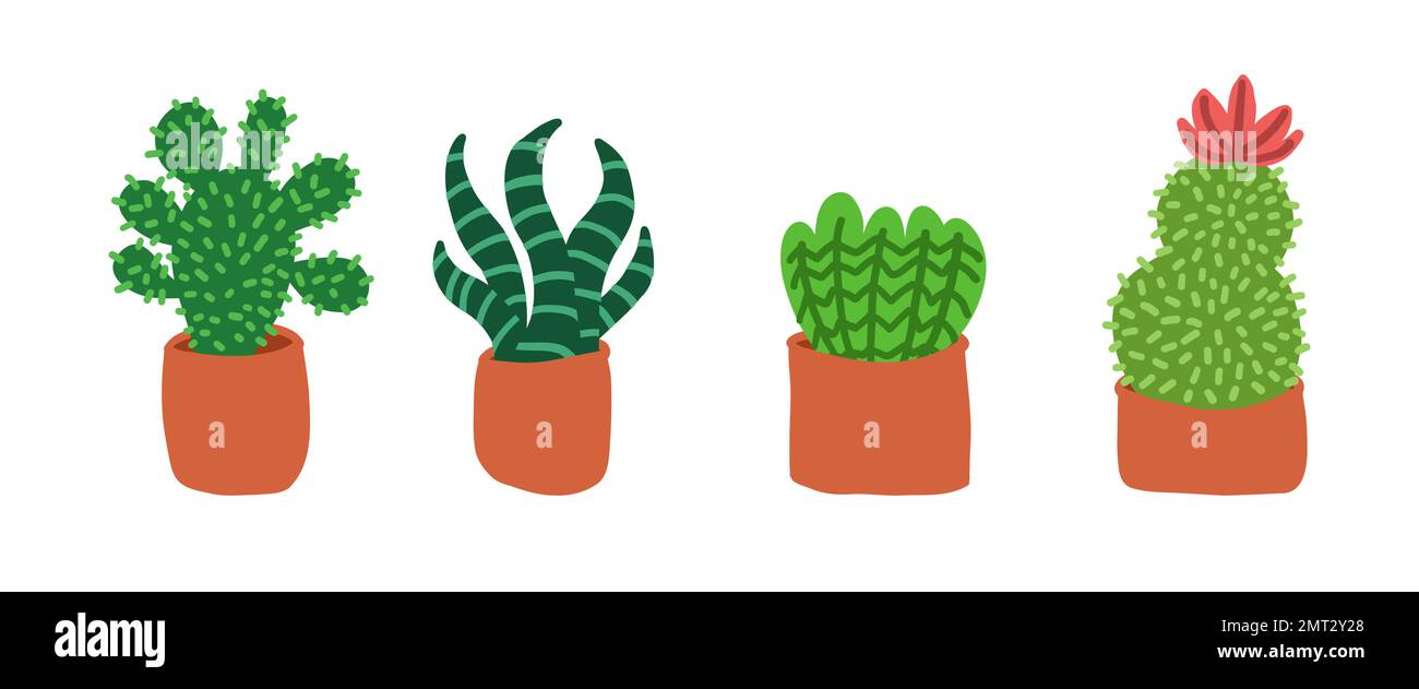 Cacti set. Vector illustrations in cartoon flat style isolated on white ...