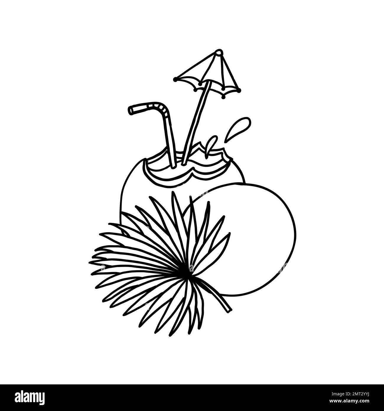 Coconut Vector Illustration In Outline Doodle Style Isolated On White coconut-vector-illustration-in-outline-doodle-style-isolated-on-white
