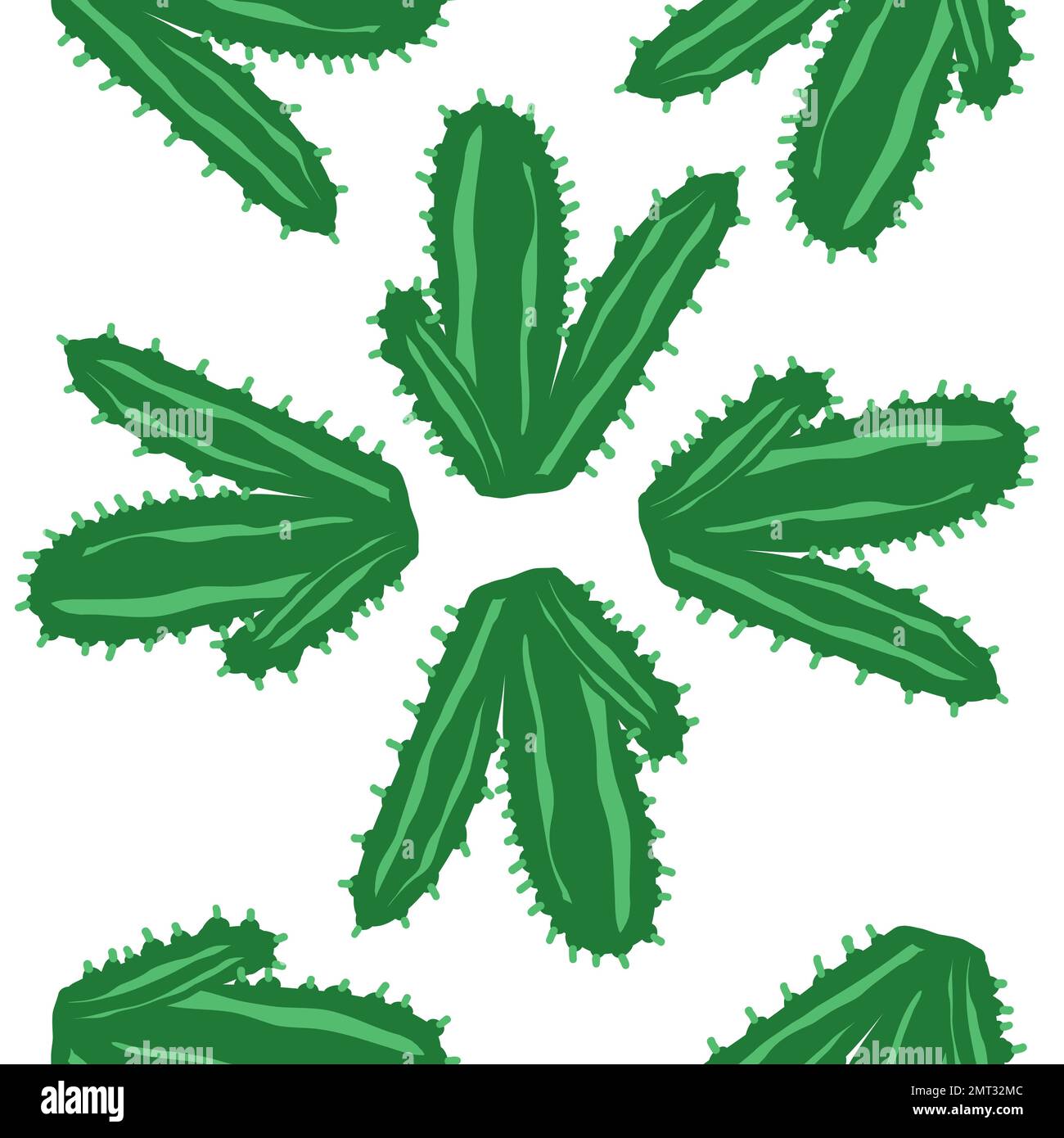 Cacti pattern. Vector illustration in cartoon flat style isolated on ...