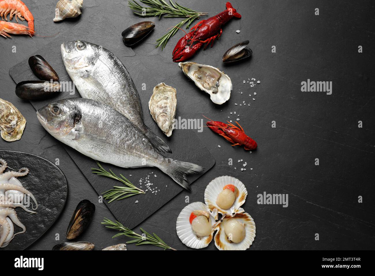Fresh fish and different seafood on black table, flat lay Stock Photo ...