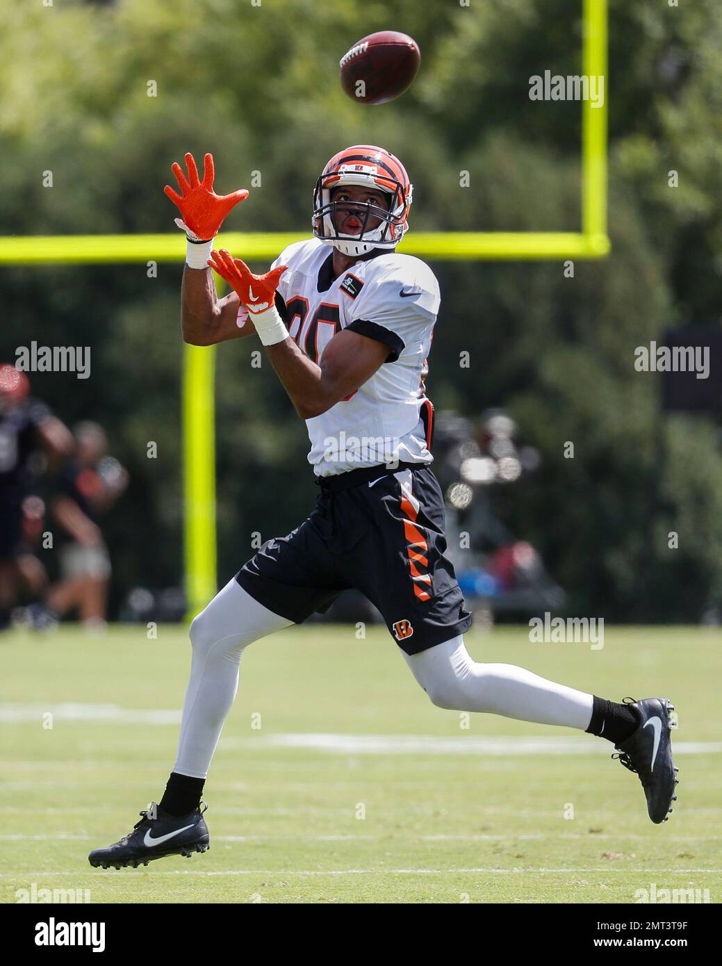 August 22, 2019: Cincinnati Bengals wide receiver Josh Malone (80) during  NFL football preseason game action between the New York Giants and the Cincinnati  Bengals at Paul Brown Stadium in Cincinnati, OH.