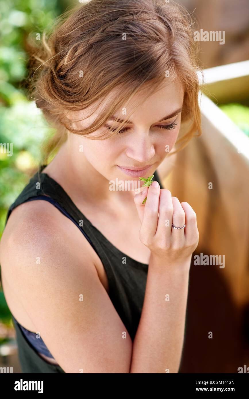 Take time to smell the herbs. A young woman smelling herbs in her garden. Stock Photo