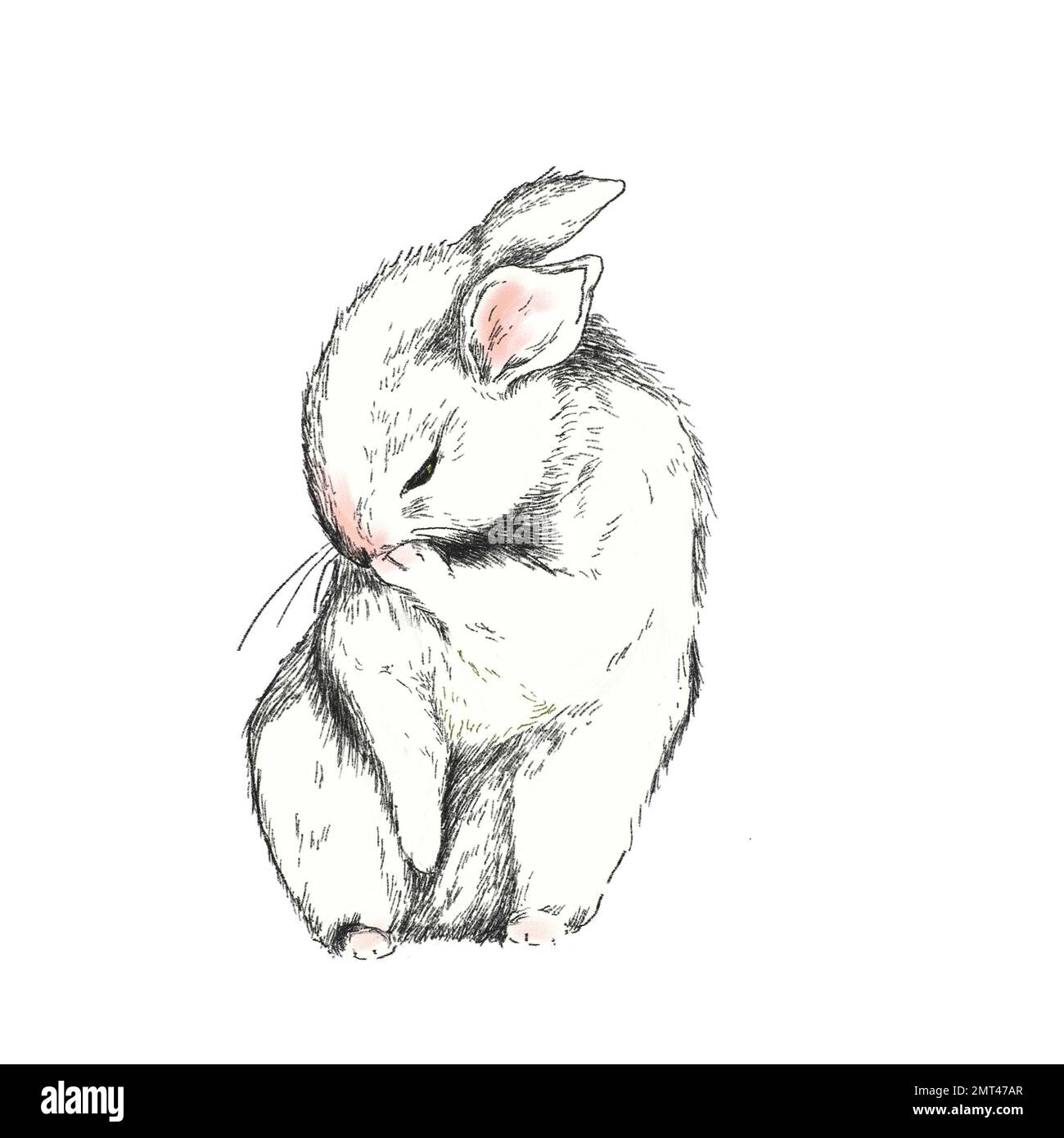 An illustration of a cute rabbit sketch on a white background Stock