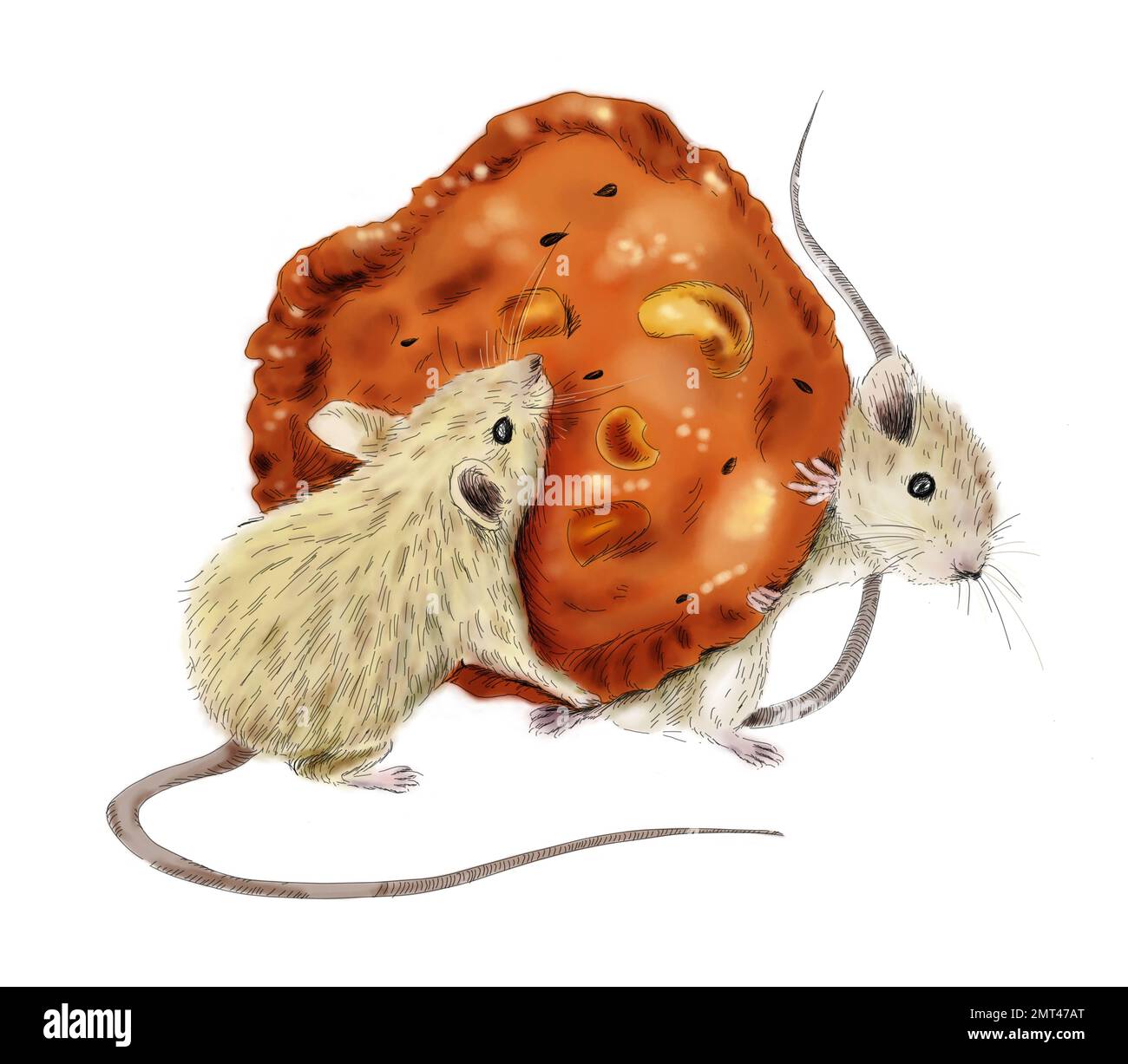 An illustration of mice eating a cookie on a white background Stock