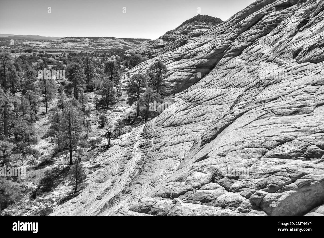 USA, Utah, Southwest, Colorado Plateau, Burr Trail Stock Photo