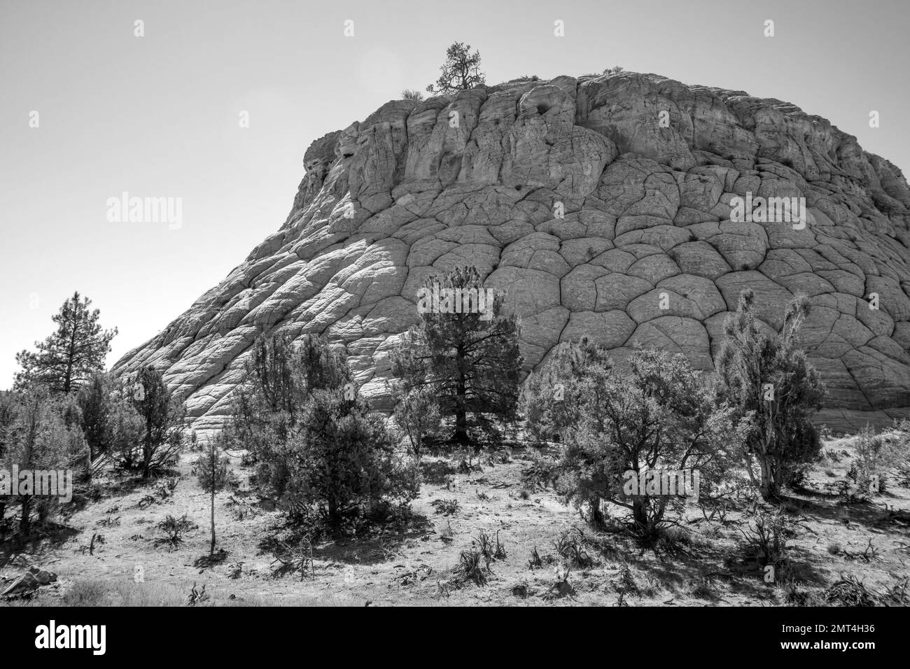USA, Utah, Southwest, Colorado Plateau, Boulder, Burr Trail, Brain Rock Stock Photo