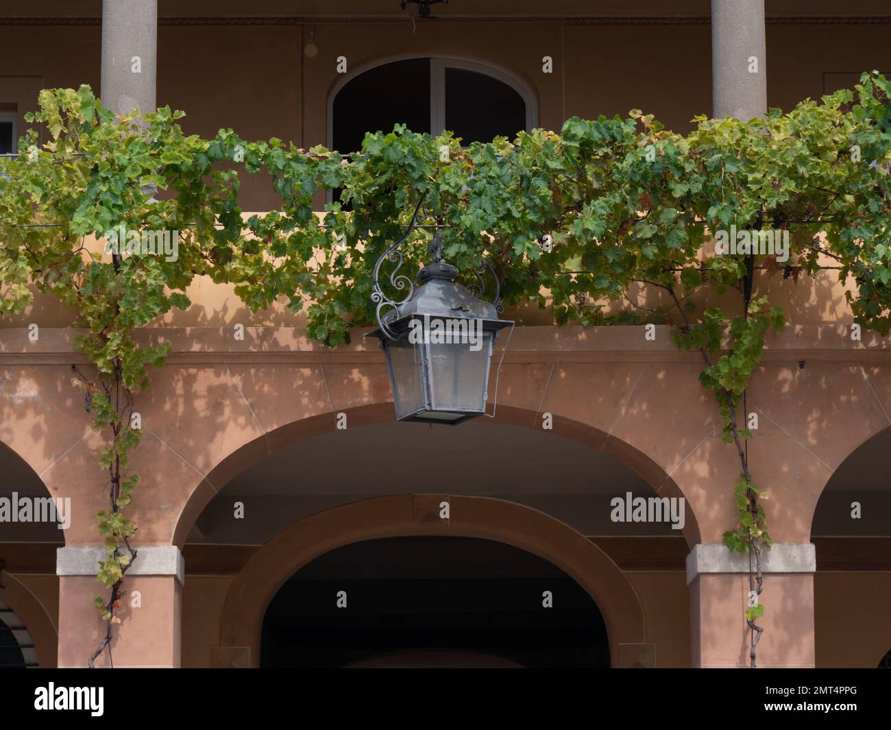 A Coach lamp and vines growing on the Villa Reale di Marlia Capannori Tuscany Italy Stock Photo
