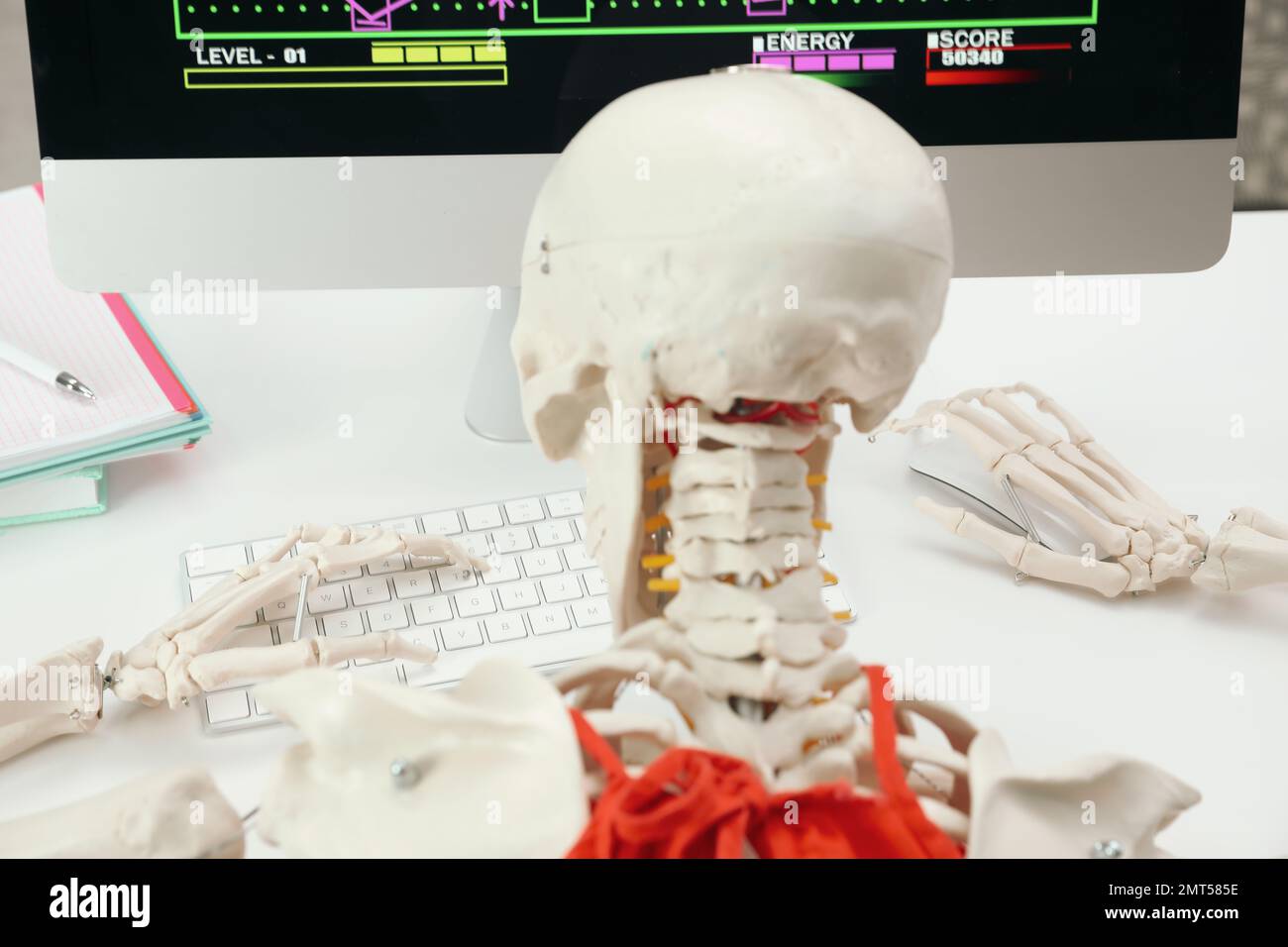 Artificial human skeleton model at table, back view Stock Photo Alamy